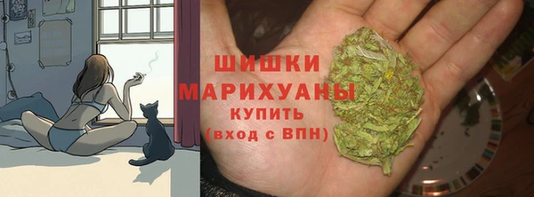ПСИЛОЦИБИНОВЫЕ ГРИБЫ Балабаново