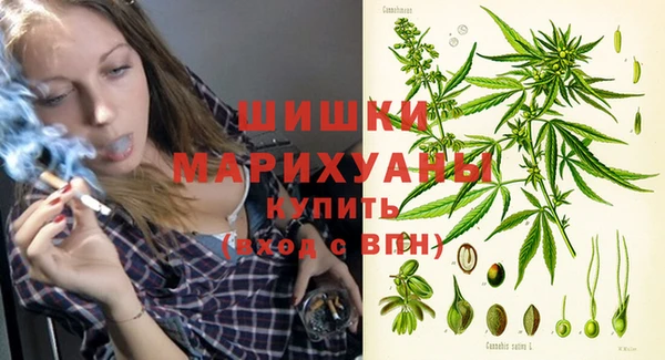 ПСИЛОЦИБИНОВЫЕ ГРИБЫ Балабаново