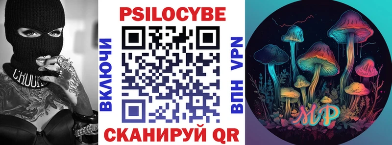Псилоцибиновые грибы Psilocybe  Георгиевск 
