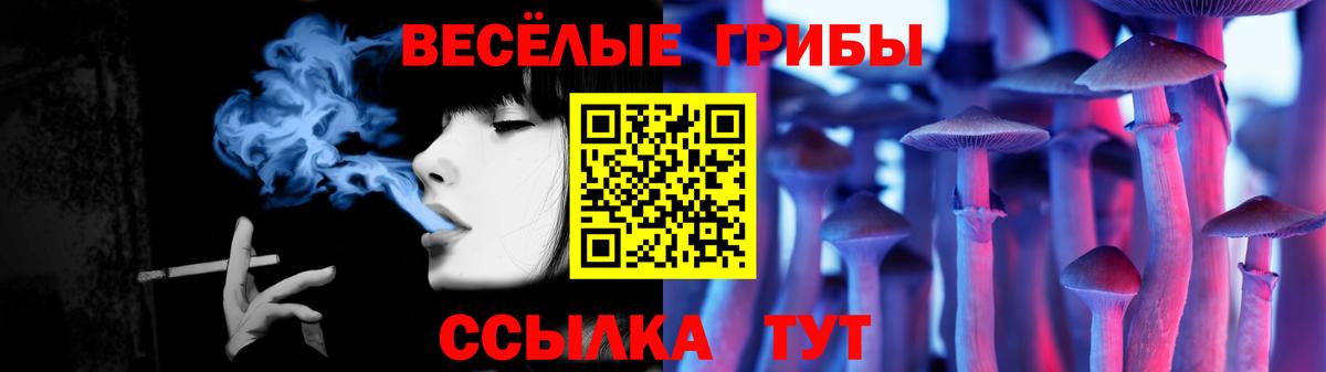 Псилоцибиновые грибы мицелий  Георгиевск 