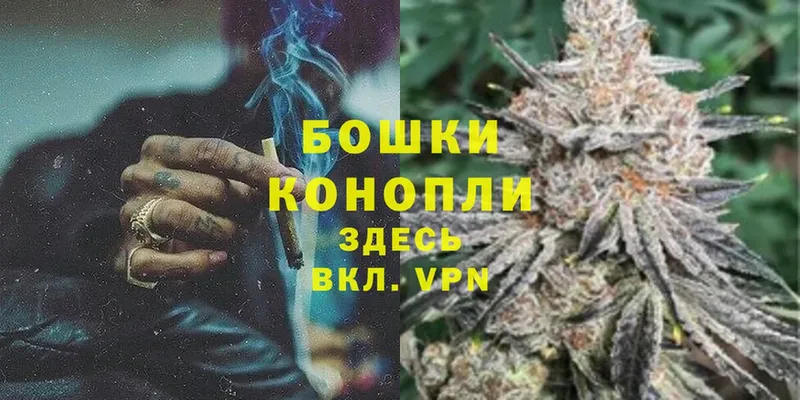 где купить   Георгиевск  Бошки марихуана Bruce Banner 