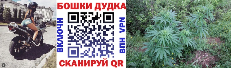 продажа наркотиков  Георгиевск  Канабис Bruce Banner 